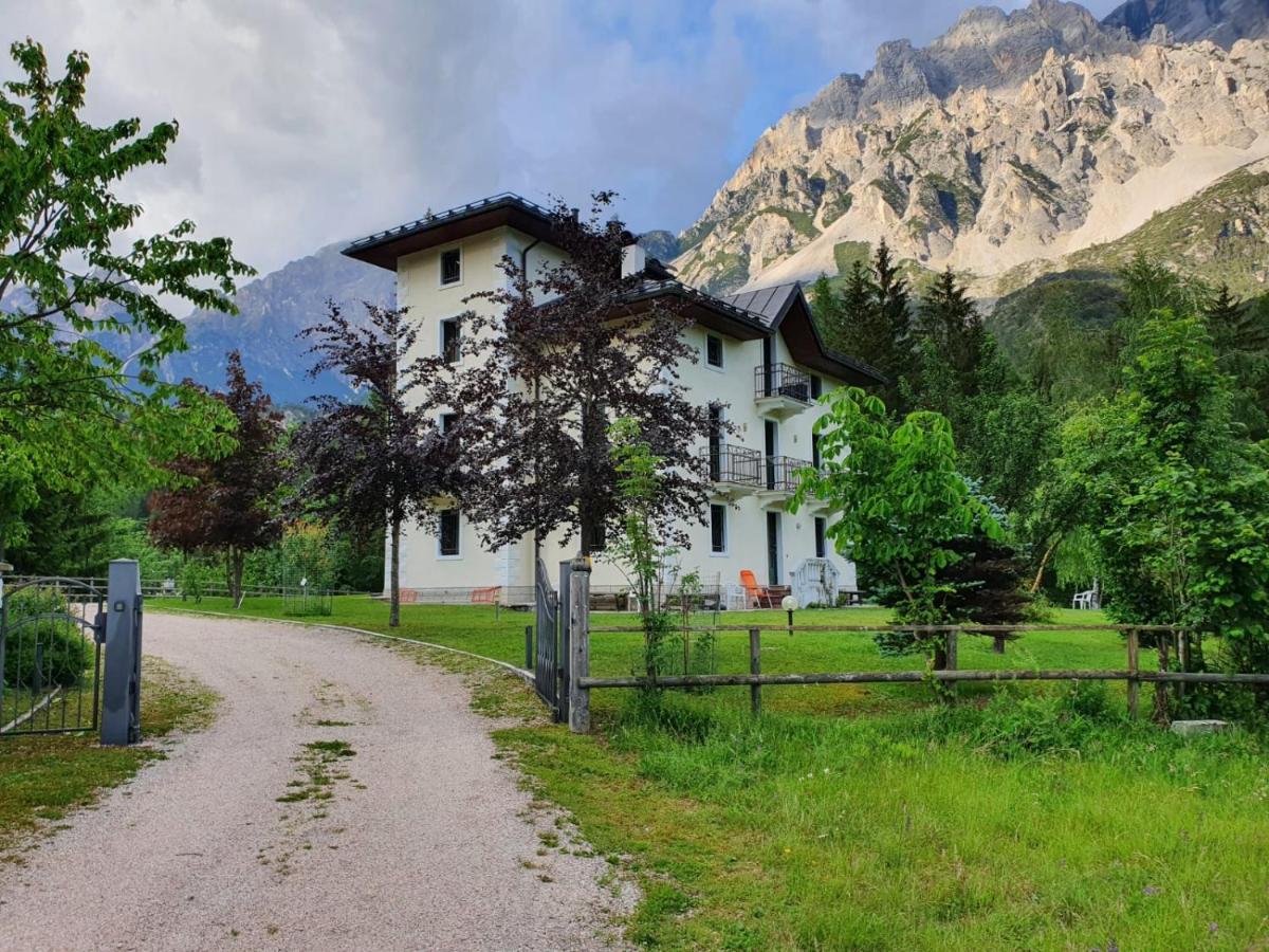 Appartamento 4 Posti Letto Borca di Cadore Zewnętrze zdjęcie